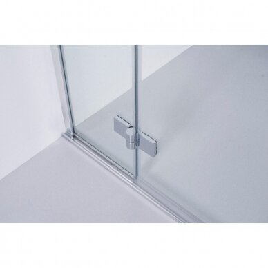 Brasta Glass Tina Plius dušo durys, dydžių ir stiklo spalvų pasirinkimas 2