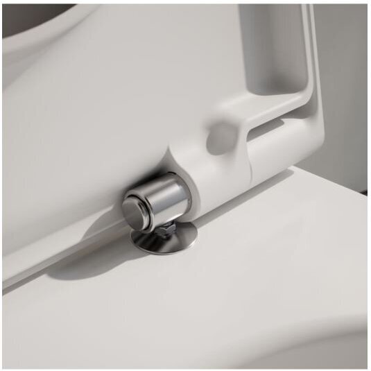 Laufen Pro X pakabinamas klozetas, tylus sūkurinis nuplovimas "Silent Flush", Soft Close dangtis, baltas 3 Laufen Pro X pakabinamas klozetas, tylus sūkurinis nuplovimas "Silent Flush", Soft Close dangtis, baltas 3